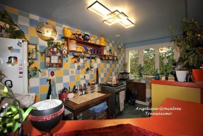 Maison - 480 m² - 7 pièces