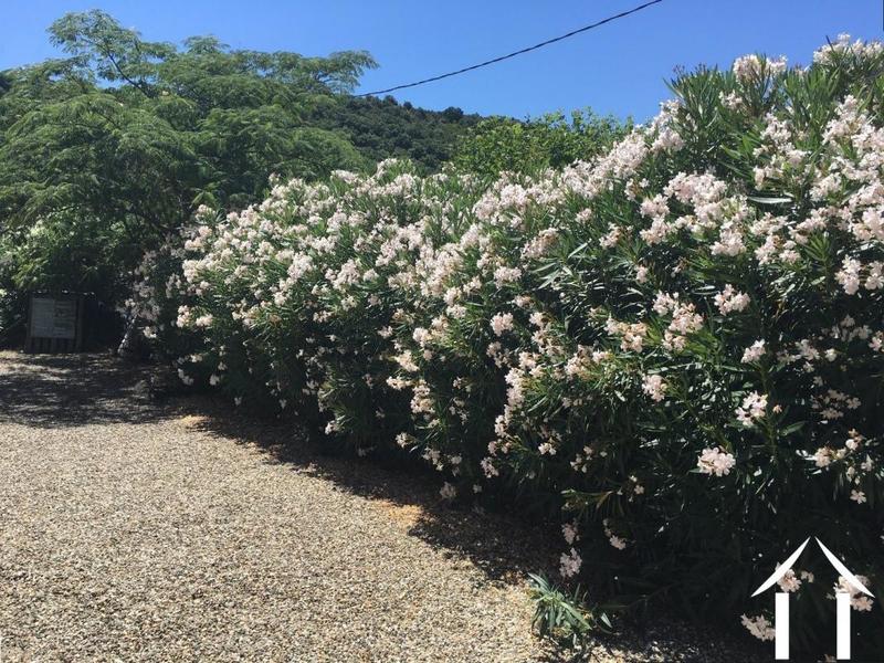 Maison - 256 m² - 9 pièces