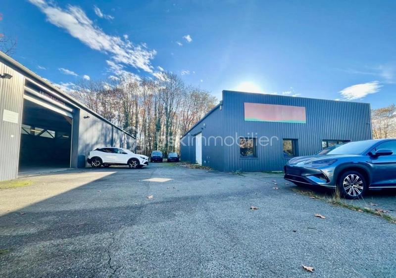 Local d'activité / Entrepôt - 771 m² - 6 pièces