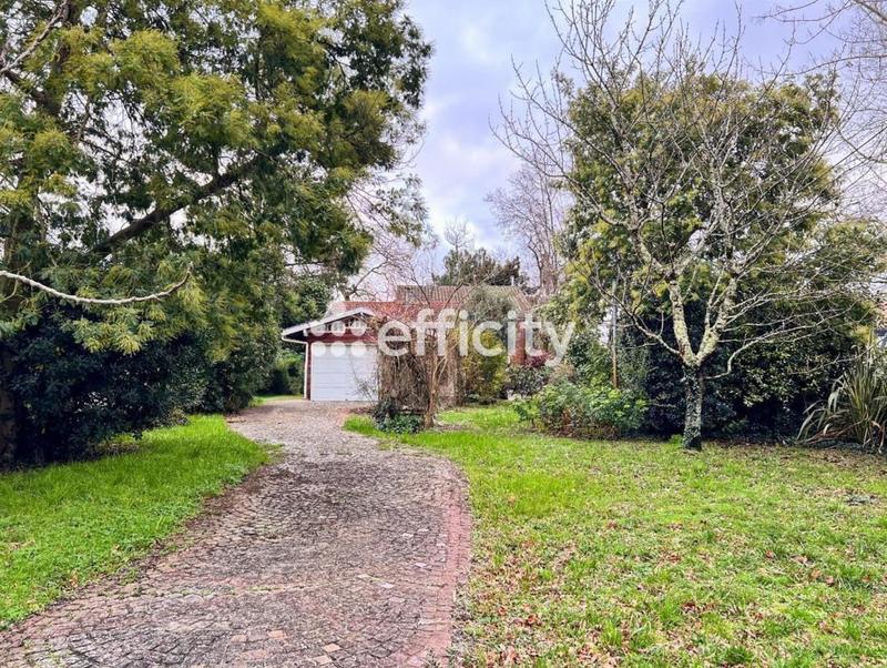 Maison de bois - 225 m² - 7 pièces