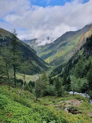 Château - 810 m² - 11 pièces