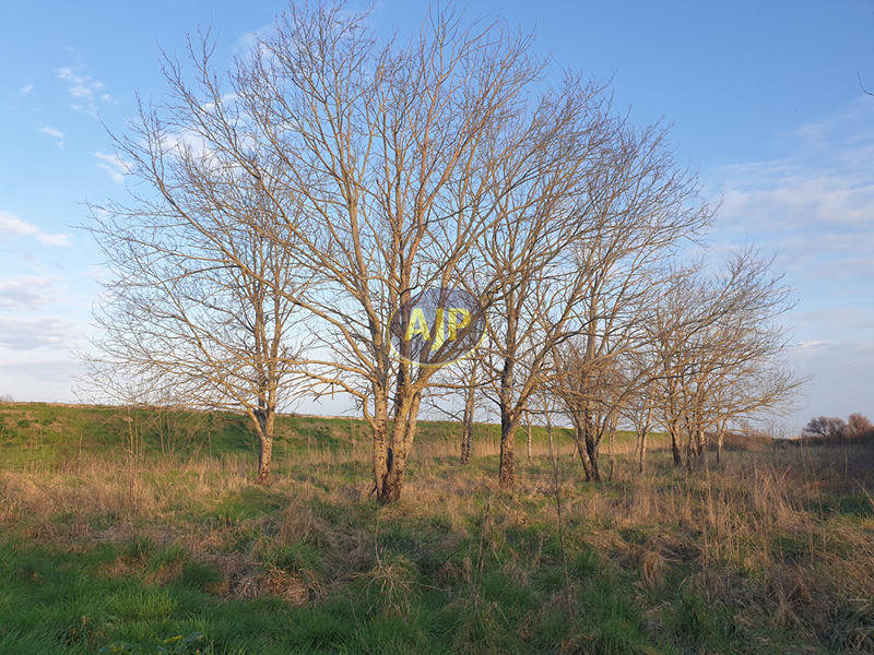 Terrain de loisirs - 6 863 m²