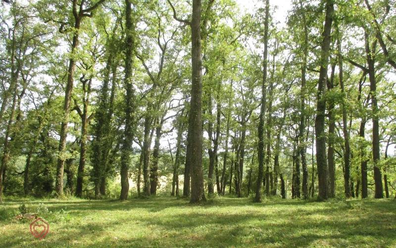 Propriété - 254 m² - 7 pièces