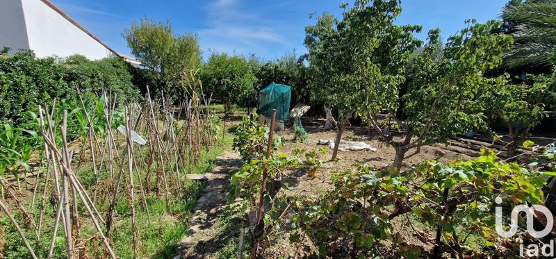 Appartement - 89 m² - 5 pièces