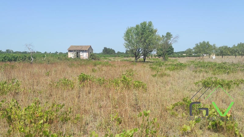 Maison - 9 m² - 1 pièce