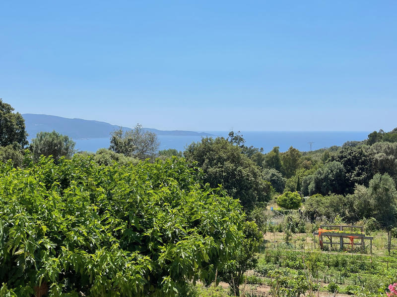 Maison - 240 m² - 11 pièces