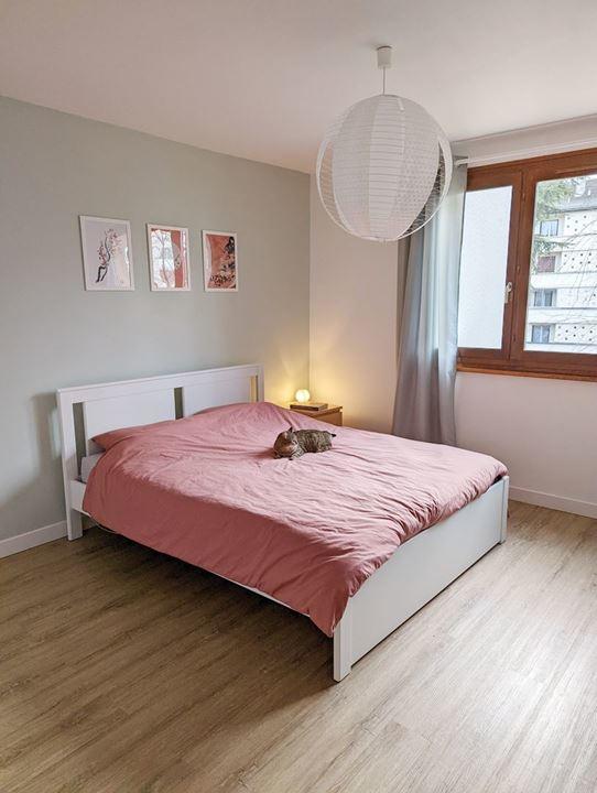 Appartement - 50 m² - 2 pièces