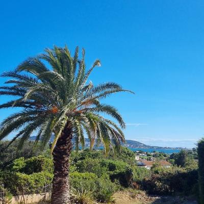 Terrain constructible - 1 210 m²