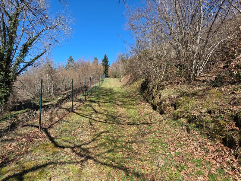 Propriété - 178 m² - 6 pièces