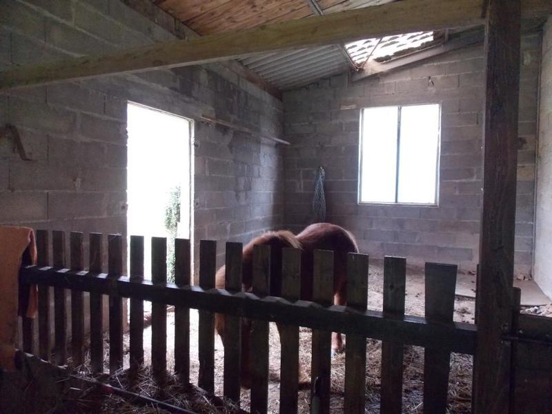 Maison de campagne - 130 m² - 6 pièces