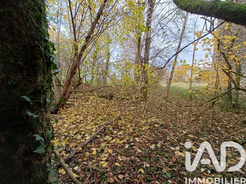 Ferme - 200 m² - 5 pièces