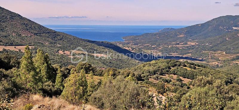 Maison - 150 m² - 4 pièces