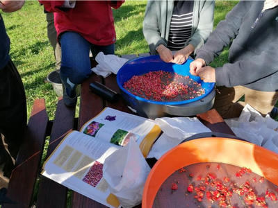 Ateliers semis de haie