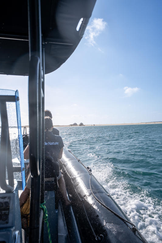 Visite guidée de la Dune du Pilat au Banc d'Arguin