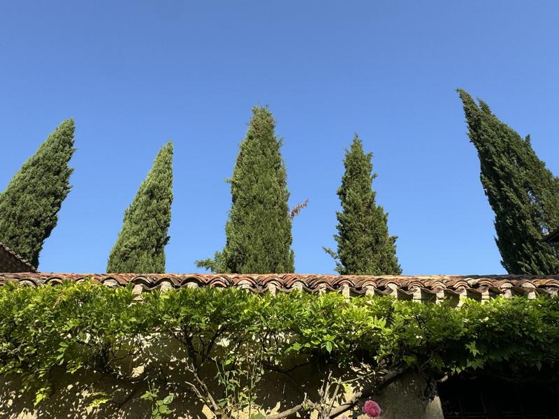 Manoir - 400 m² - 11 pièces