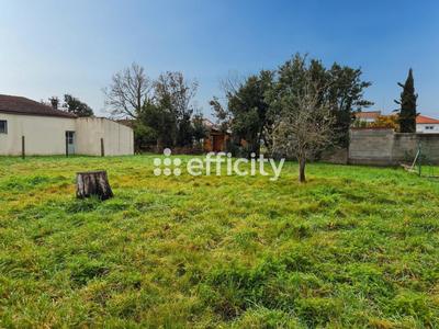 Terrain - 421 m²