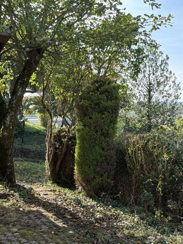 Maison - 114 m² - 6 pièces