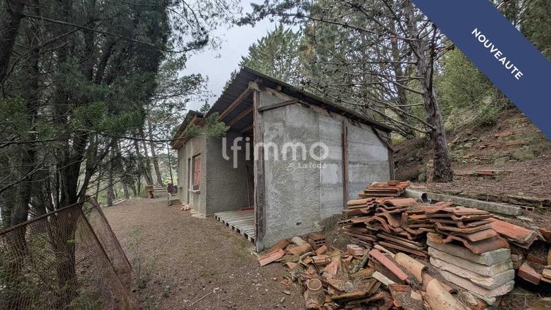 Terrain - 13 051 m²