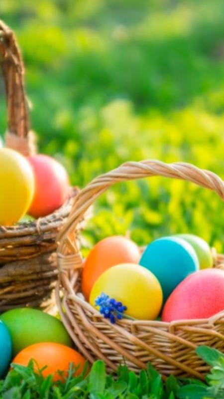 Chasse aux œufs du Ciq