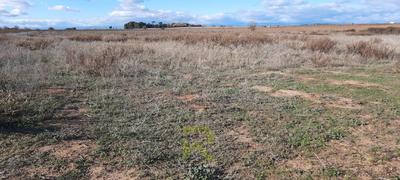 Terrain agricole - 20 270 m²