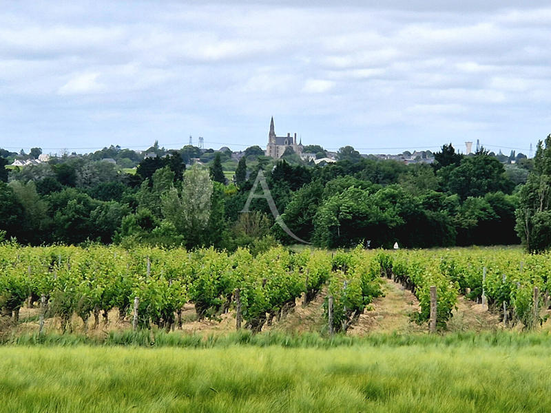 Maison - 260 m² - 9 pièces