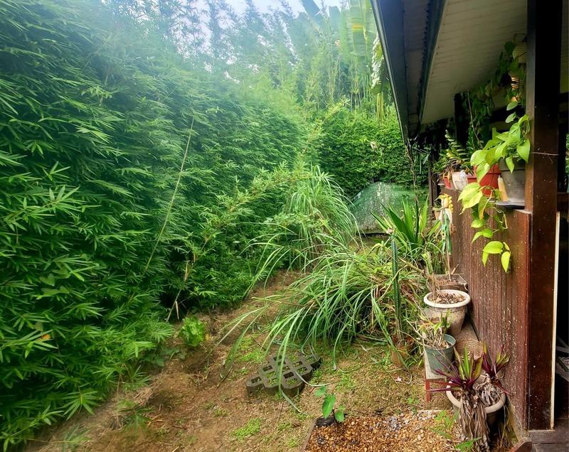 Maison - 137 m² - 5 pièces