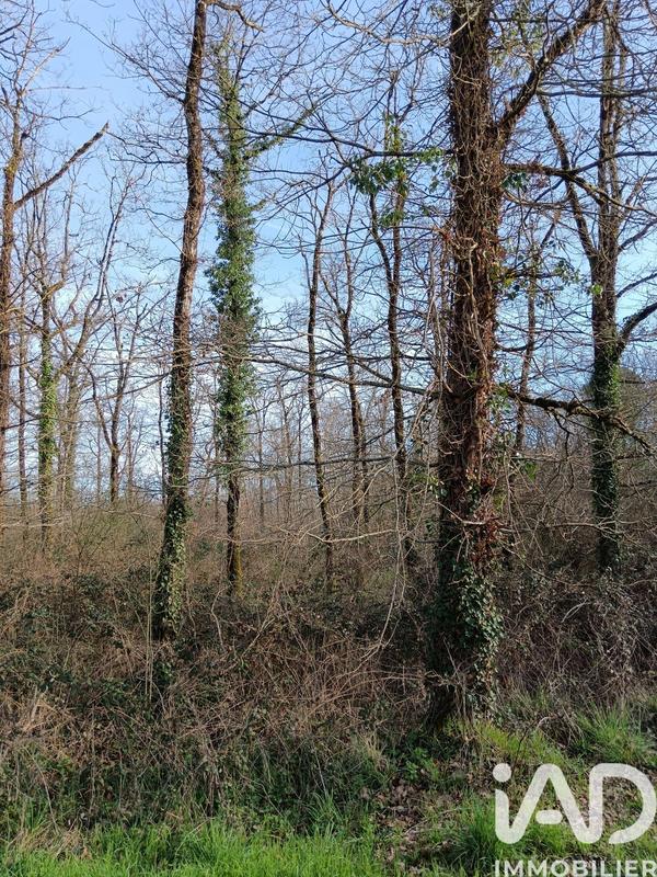 Terrain - 24 045 m²