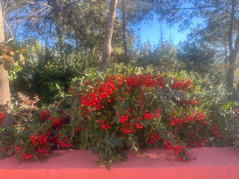 Maison traditionnelle - 268 m² - 9 pièces