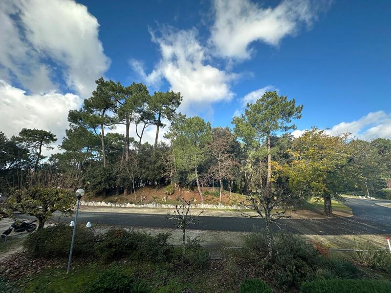 Appartement - 31 m² - 2 pièces