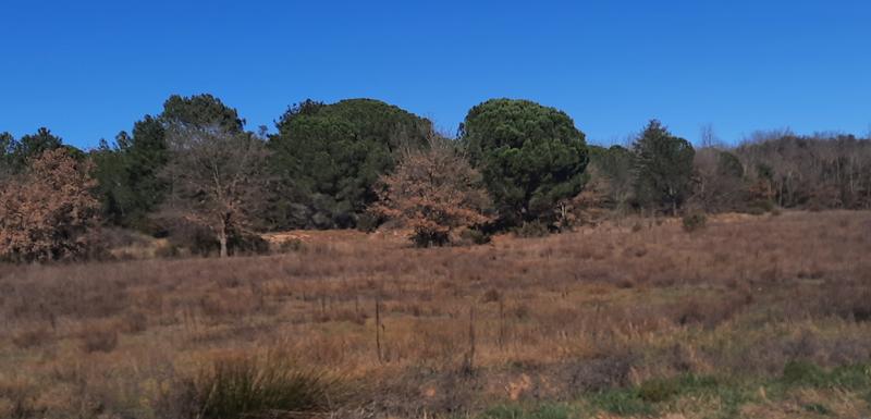 Terrain agricole - 19 718 m²