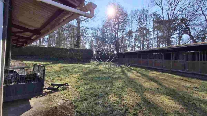 Château - 700 m² - 20 pièces