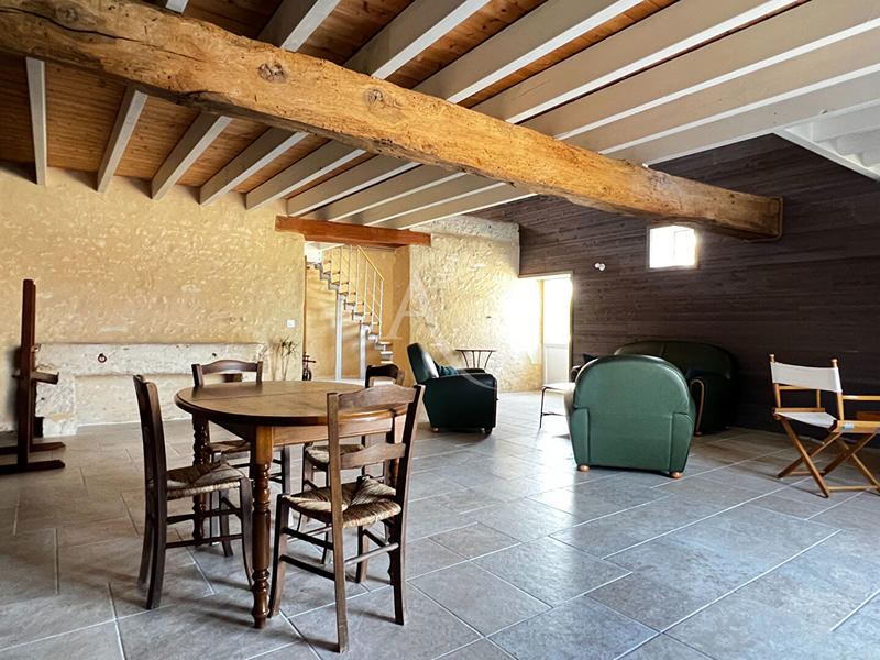 Maison - 330 m² - 8 pièces