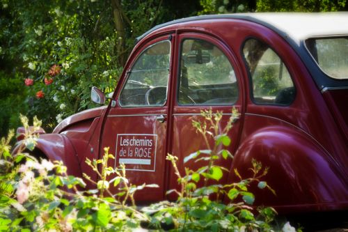 Les Chemins de la Rose