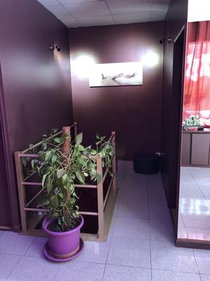 Venus de l'assomption