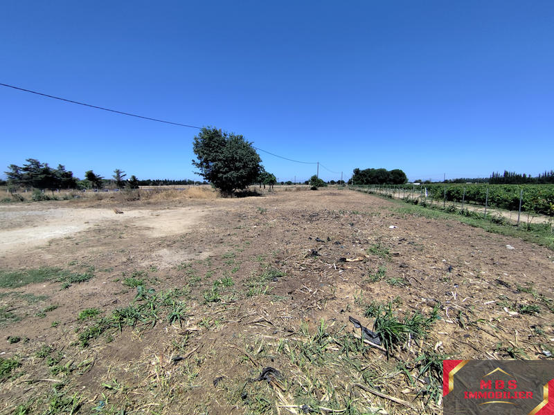 Terrain agricole - 4 192 m²