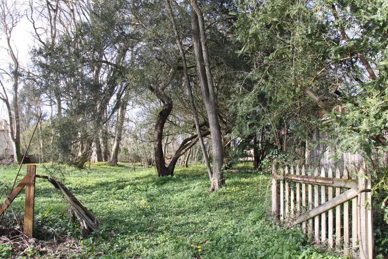 Terrain constructible - 8 124 m²