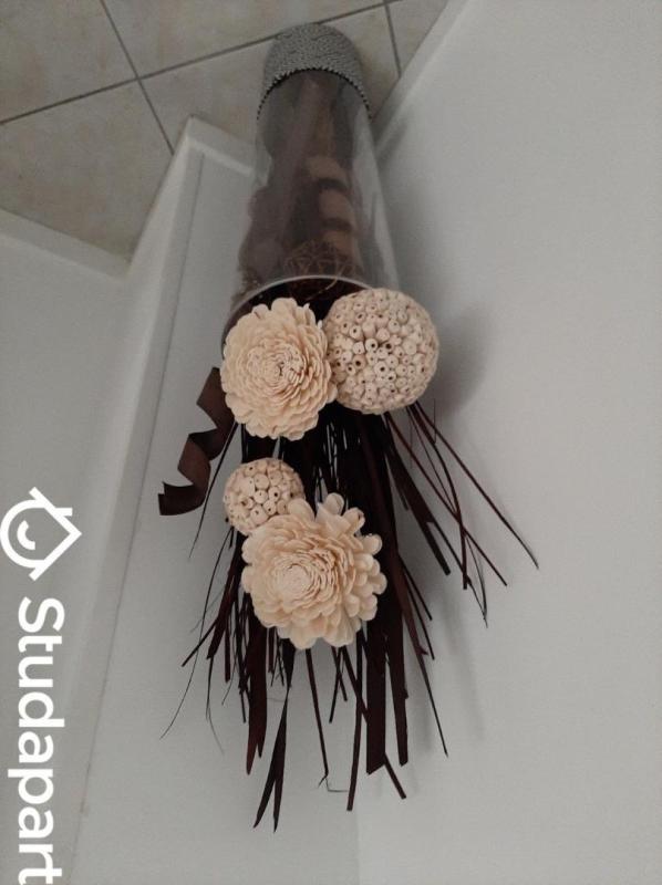 Chambre - 38 m² - 1 pièce