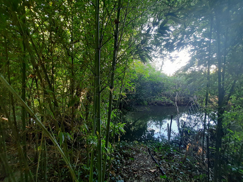 Maison - 99 m² - 4 pièces