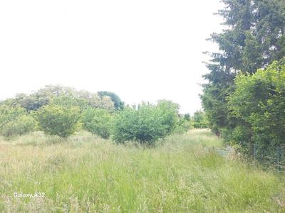Terrain constructible - 3 400 m²