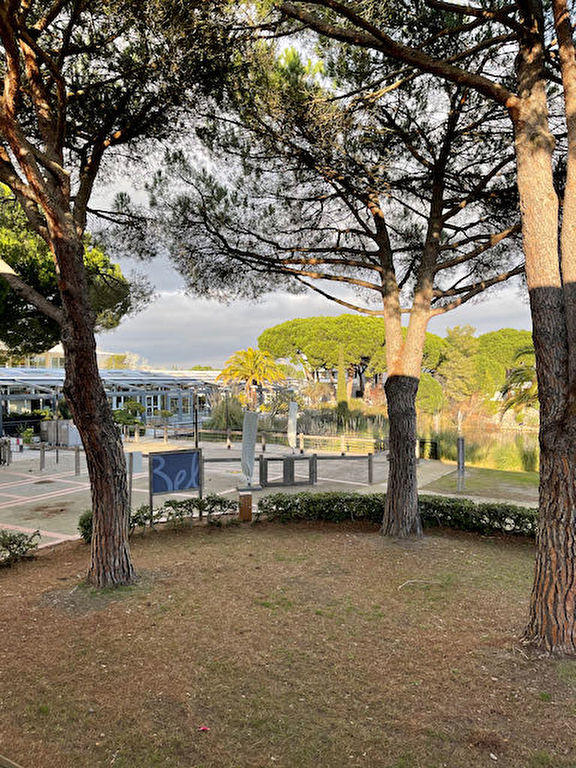 Appartement - 31 m² - 2 pièces