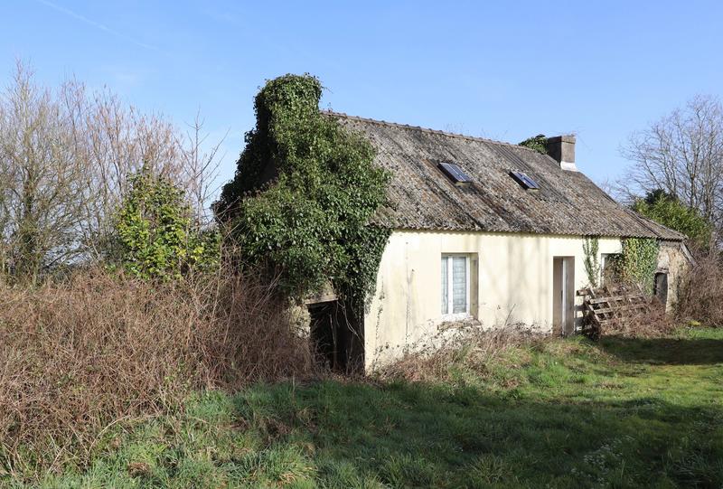 Maison - 50 m² - 2 pièces