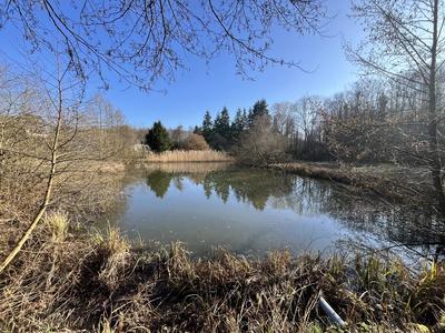 Terrain - 10 000 m²