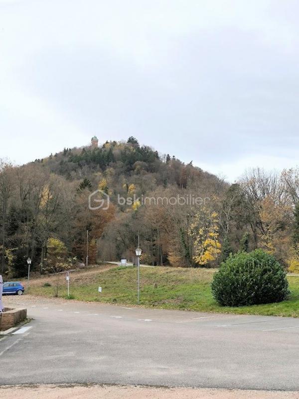 Appartement - 71 m² - 4 pièces