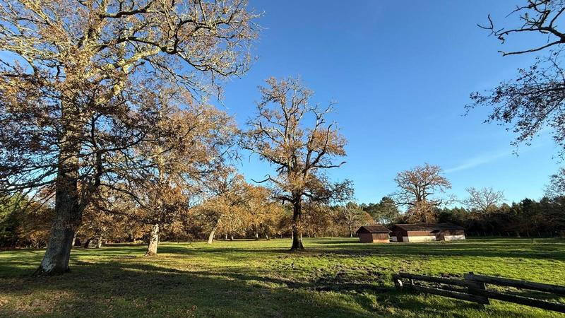 Maison - 245 m² - 9 pièces