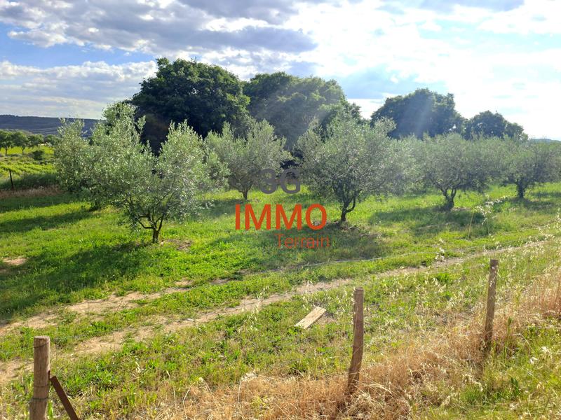 Terrain - 12 040 m²