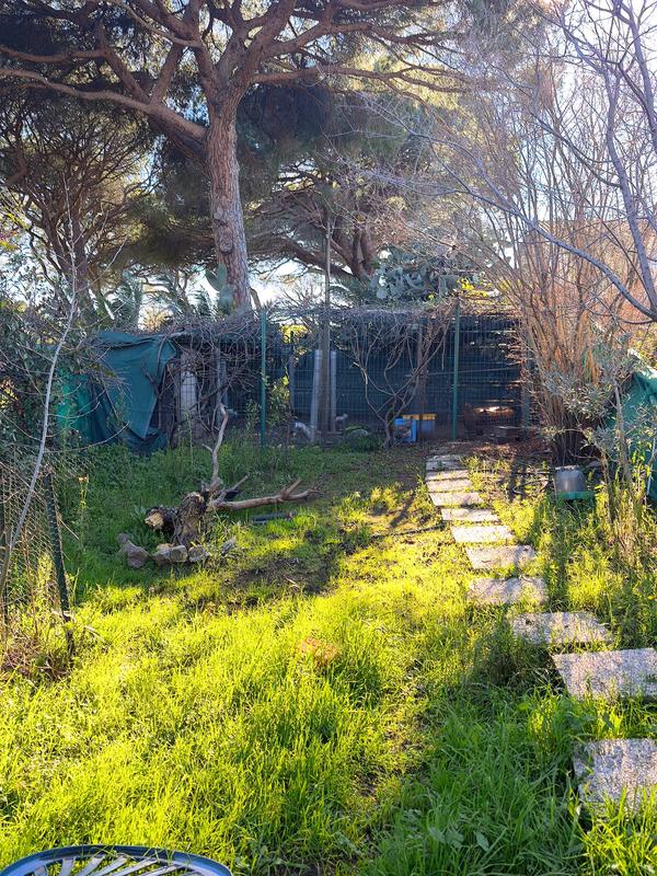 Villa - 149 m² - 7 pièces