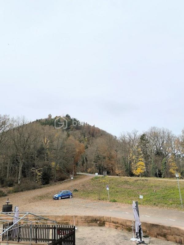 Appartement - 71 m² - 4 pièces