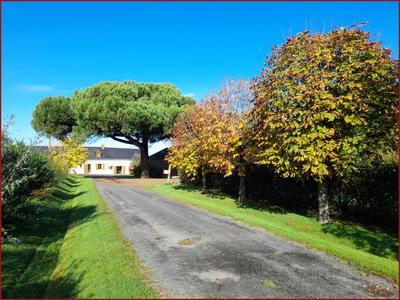 Maison - 261 m² - 9 pièces