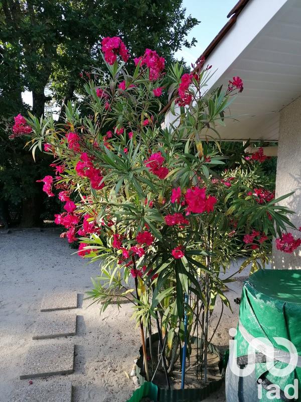 Maison - 116 m² - 8 pièces