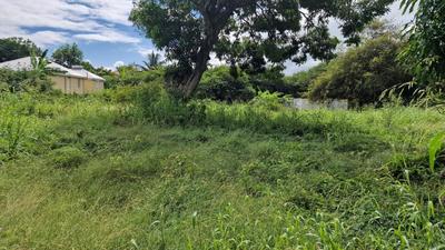 Terrain constructible - 800 m²